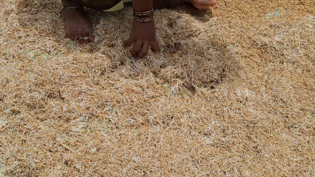சேதம் அடைந்துள்ள நெல்மணிகளை கூடுதல் இயந்திரம் வைத்து கொள்முதல் செய்ய உத்தரவு