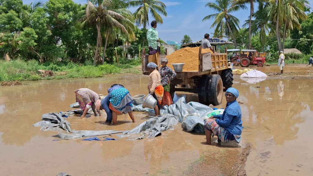 சேதம் அடைந்துள்ள நெல்மணிகளை கூடுதல் இயந்திரம் வைத்து கொள்முதல் செய்ய உத்தரவு
