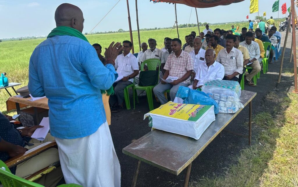 பசுமை அமைப்பு சார்பில் 12500 பனை விதைகள் மற்றும் 250 புளியங்கன்றுகள் நடும் விழா
