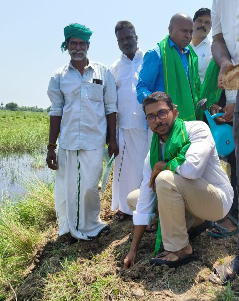 பசுமை அமைப்பு சார்பில் 12500 பனை விதைகள் மற்றும் 250 புளியங்கன்றுகள் நடும் விழா