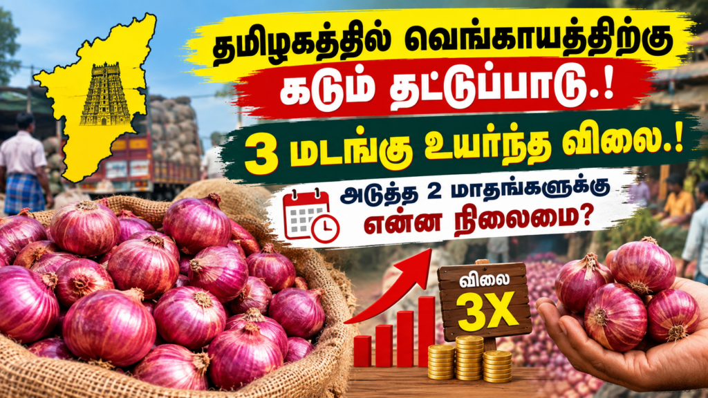 தமிழகத்தில் வெங்காயத்திற்கு கடும் தட்டுப்பாடு.! 3 மடங்கு உயர்ந்த விலை.! அடுத்த 2 மாதங்களுக்கு என்ன நிலைமை?