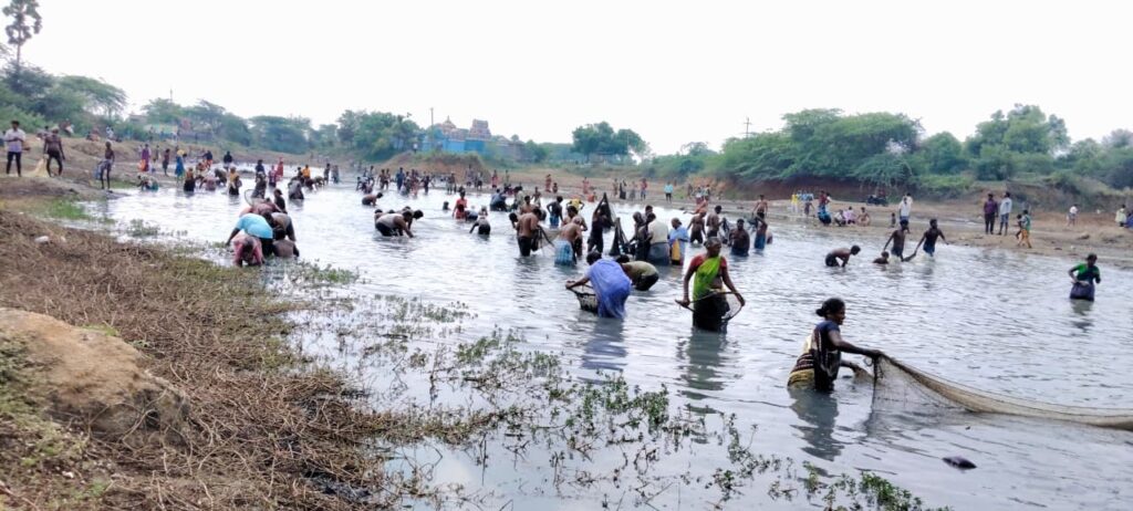 சிறுநெசலூர் பெரிய ஏரியில் கோலாகலமாக நடைபெற்ற மீன்பிடித் திருவிழா