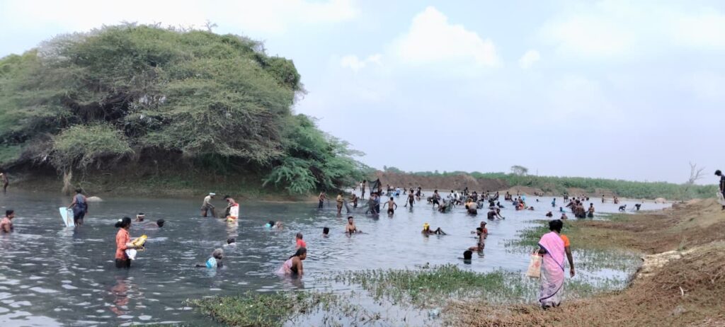 சிறுநெசலூர் பெரிய ஏரியில் கோலாகலமாக நடைபெற்ற மீன்பிடித் திருவிழா