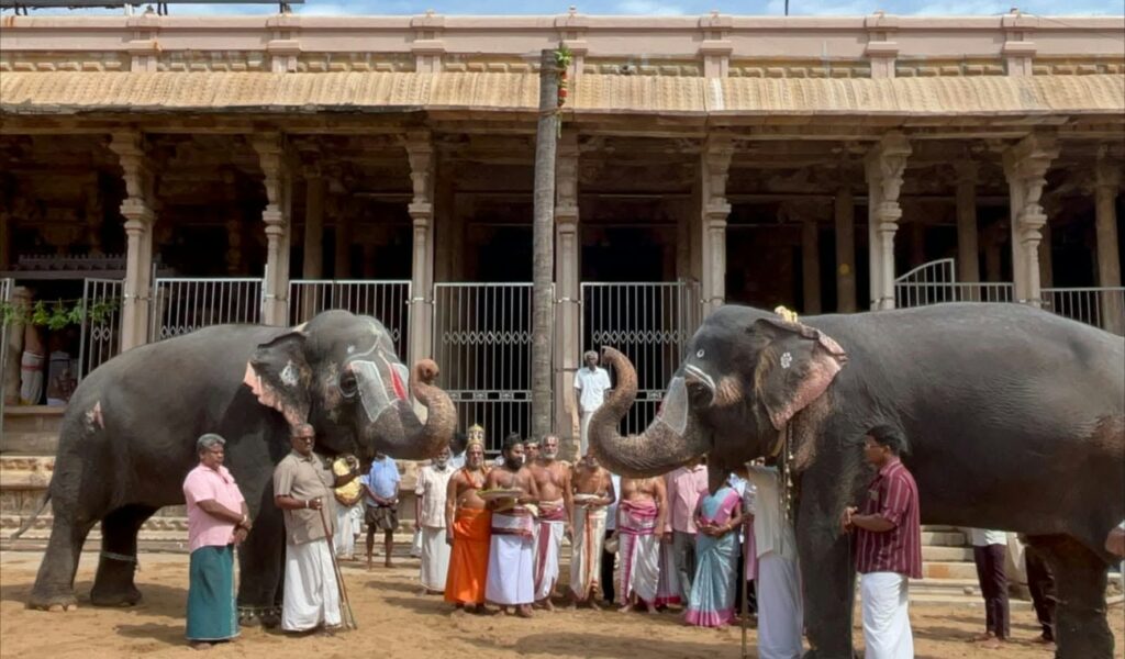 வைகுந்த ஏகாதசி: ஸ்ரீரங்கம் ரெங்கநாதர் கோவிலில் முகூர்த்தக்கால் நடும் விழா